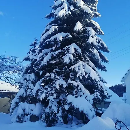 Medova Hata Дом отдыха Микуличин