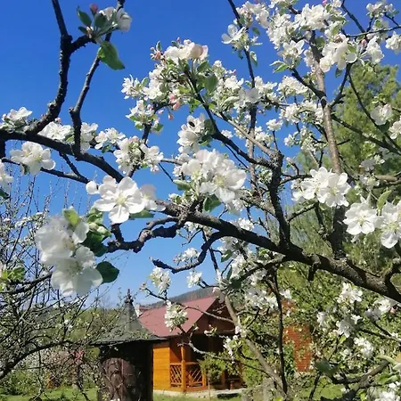 Medova Hata Mykulychyn