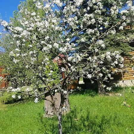 Medova Hata