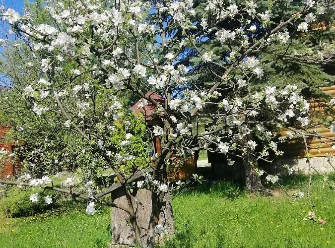 Medova Hata