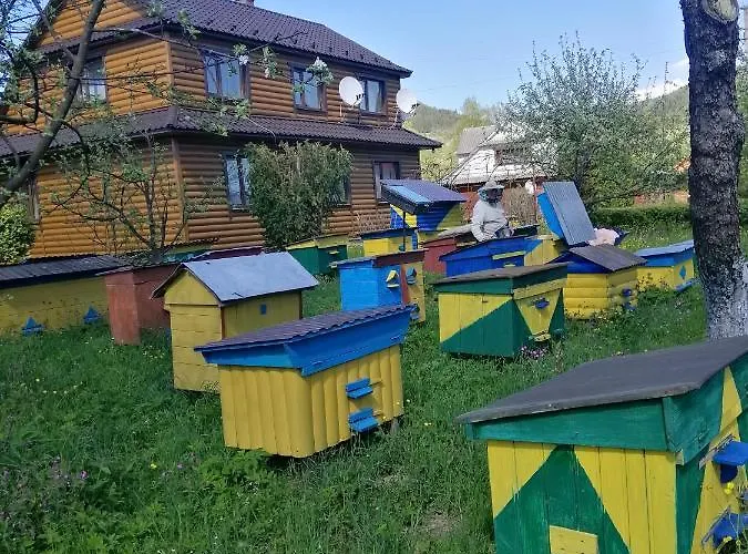 Medova Hata Дом отдыха Микуличин